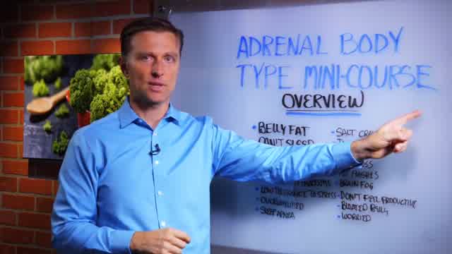 adrenal body type intro