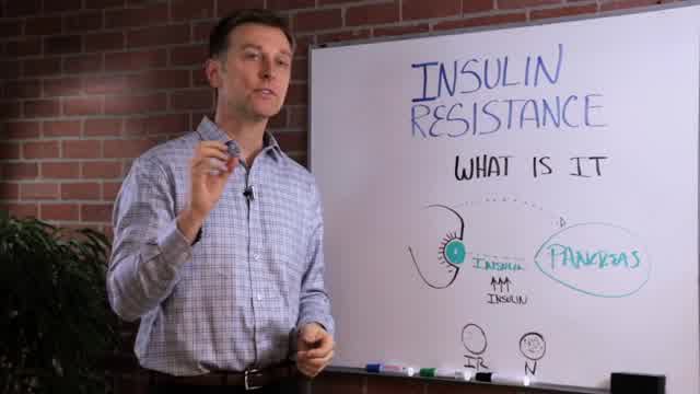 insulin resistance intro